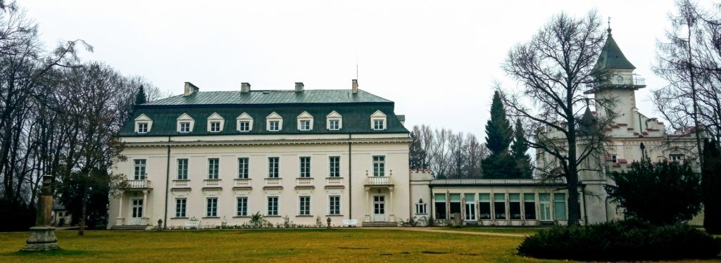 Pałac Radziejowicach