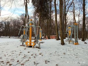 Park w Młochowie