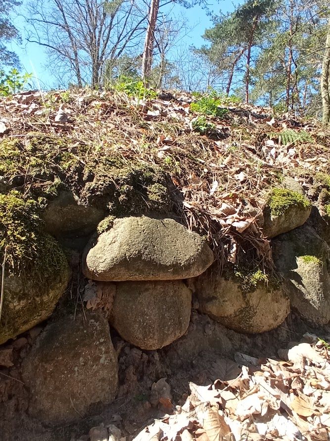 Grobowce megalityczne - Sarnowo